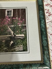 Harry Bowden Nature Photographer, Ontario Blossoms