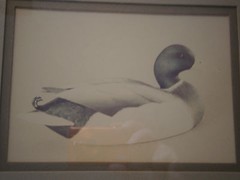 Lot of 2 William Plante Mallard Hen Drake Framed Photographs 1980 Nielsen Frame
