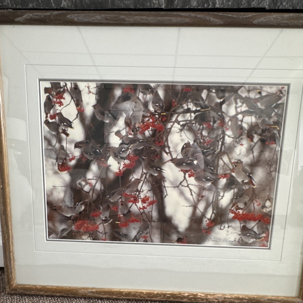 Matted & Framed Color Photograph of Birds in Tree with Red Berries Landscape