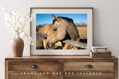 Western Photography Print – Picture of Buckskin Horse in Grand Tetons Wyoming