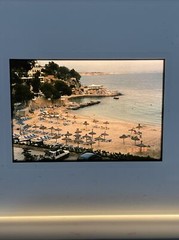 Lot Of 40 Vintage Worldwide Vacation Sea Life Amateur 35mm Color Slides ct18