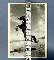 On The Set Of The Misfits 1960 Photo By Ernst Haas Fotofolio Art Print Card 4×6”