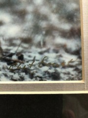 «WOLF EARLY WINTER SNOW» OPEN EDITION FRAMED PHOTOGRAPH BY CHET DOWELL
