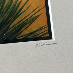 Framed Art Tlaquepaque Bouquet Mexico by Jim Nilsen Signed Minimalist 7” x 7”
