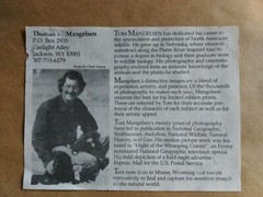 «Misty Morning Creek – Coyote» by Thomas Mangelsen – Limited Edition of 950