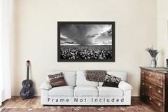 Cotton Field Photography Print | Black and White Picture | Oklahoma Photo