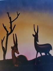 GAZELLES LARGE ORIGINAL SIGNED ART PHOTO COLOR STETTNER VTG MATTE NJ CAMERA