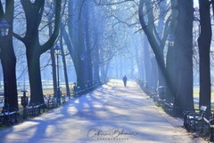 Fine Art Photography Catherine Bohemier Signed Limited to 5 – Urban Respite