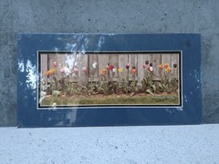 Beautiful True Vtg Photograph of Spring Tulips Signed Erskine & Nancy Wood 1984