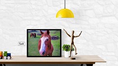 Close-up on a Wild Horse High Resolution Image, In Many Formats, TV Art
