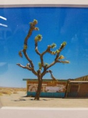 Nicholas Fedak II Framed Archival Pigment Print “Roadhouse» 13″x15″