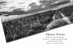 Corn Field Photography Print: Nebraska Black & White Scenic Sky Country Photo