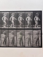 Eadweard Muybridge. # 468. Child, Walking. Original Collotype (1887)
