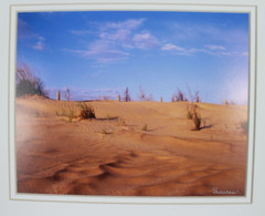 Blue Sky Desert Landscape Horizontal Photograph signed by Suzanne- White Matte