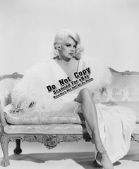 Carroll Baker (Vintage Hollywood Actress 8×10 Photos) Color/B&W Many to Choose