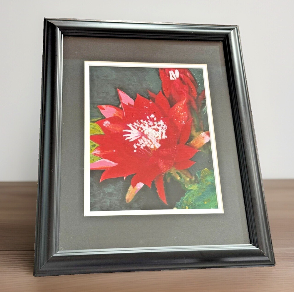 Epiphyllum or Orchid Cactus Brilliant Red Flower Photo Matted & Framed 13″Wx16″H
