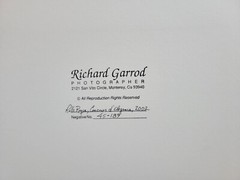 Richard Garrod, black and white photography, Rolls Royce Grill, Concours d’Elega