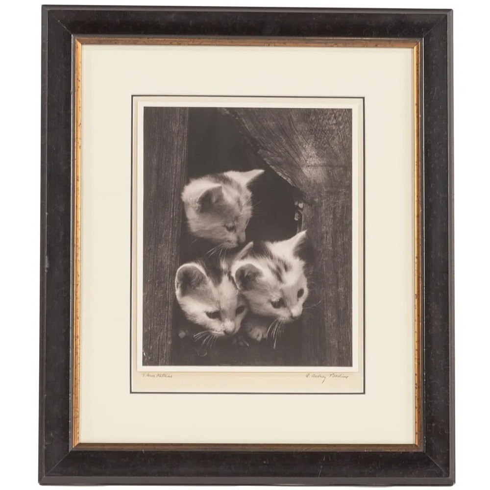 A. Aubrey Bodine American Silver Gelatin Photo Exhibited Maryland Baltimore