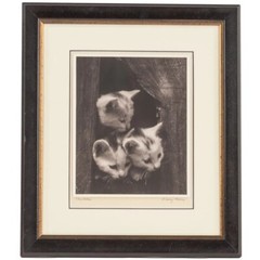 A. Aubrey Bodine American Silver Gelatin Photo Exhibited Maryland Baltimore