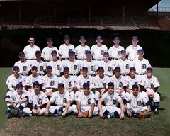 1951-tigers-color 8×10 Colorized Print-FREE SHIPPING