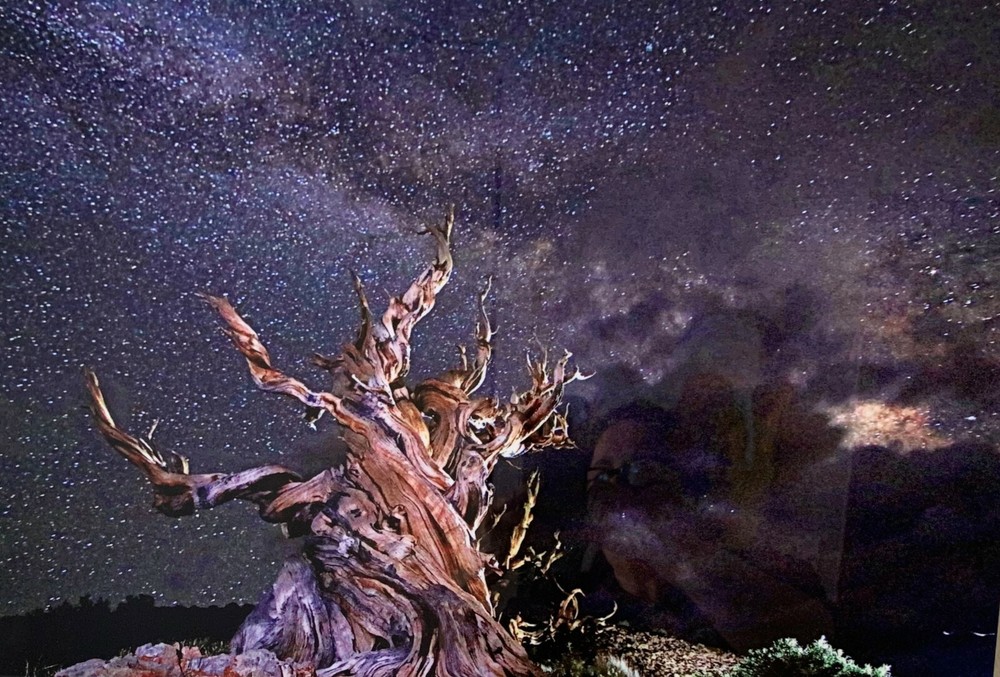 Kirk Mann Photography. Ancient Being. Ready to hang. Aluminum. Signed!
