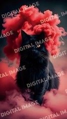 Digital Art Picture Image Photo Wallpaper Background Desktop AI Black Cat Smoke