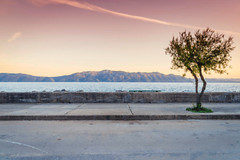 Digital photo – Hvar, Sucuraj -Croatia Image (for print, or just as a wallpaper)