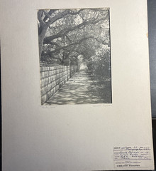 1947 Donald S Berman Signed B&W Photo High School Exhibition Gimbel Bros 20×14