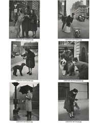 Nina LEEN: City Dogs, NYC, 1944 / PUBLISHED IN LIFE magazine/ (9) VINTAGE PRINTS