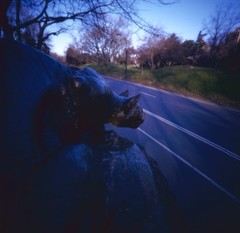 Still Hunt Central Park Panther Statue Original Pinhole Photograph Archival