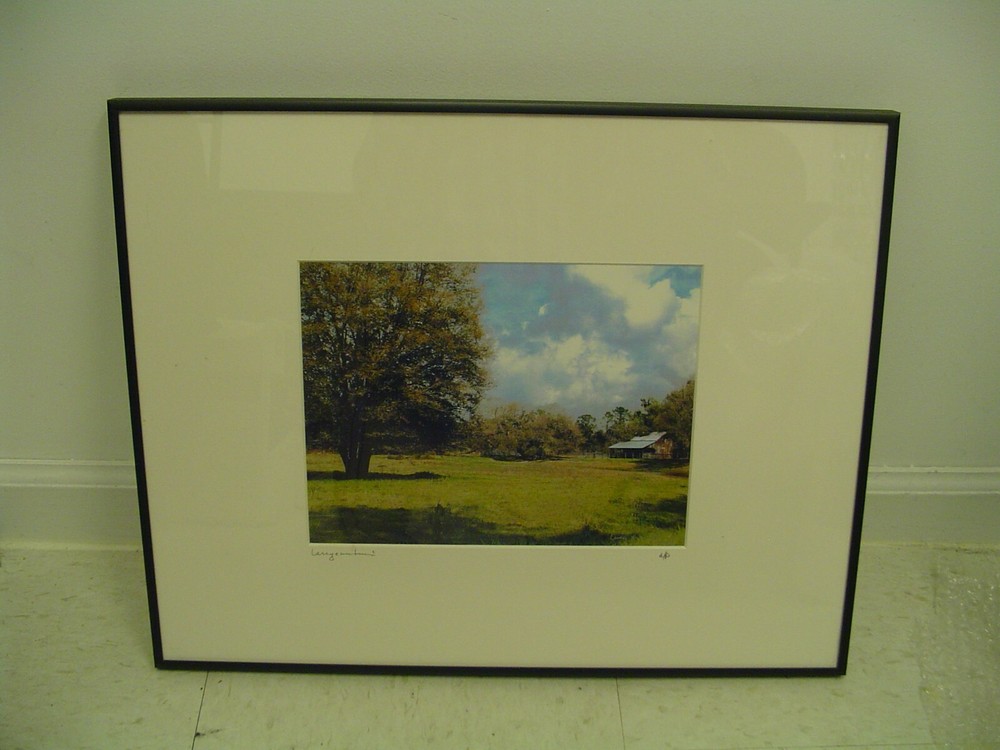 ART PHOTOGRAPHY field scenery trees in color by L. Santucci Frames 16x20in