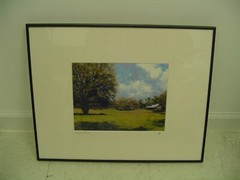 ART PHOTOGRAPHY field scenery trees in color by L. Santucci Frames 16x20in