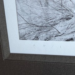 DAVID H GIBSON Photography Signed LEDGE AT INDIAN STEPS, KLONDIKE RANCH, TEXAS