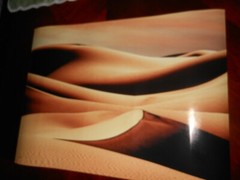 Ray I. Doan – Death Valley Sand Dunes Photograph 22″ x 30″ Signed and no.13/250