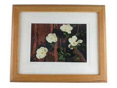 Signed Christine Loberg Dogwood Redwood Tree Photo Print Framed w/ Dedication