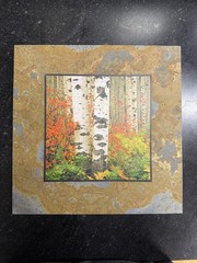 David L Clack Slate Pics Birch Trees Fall Art 12”x12” Illustrated Light