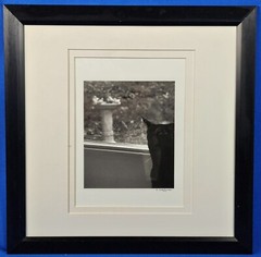 Elizabeth Siegfried Hand Signed Untitled «Cat» B&W Photography Framed
