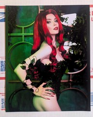 Poison Ivy 8×10 Photo Print Sexy Model Picture Cosplay DC Comics Onlyfans