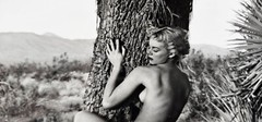 Andre De Dienes Nude Woman & Joshua Tree Photo Silver Gelatin Print 1960, COA