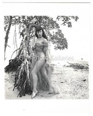 1954 BETTIE PAGE Original Female Nude BUNNY YEAGER Miami FL Key Biscayne Photo