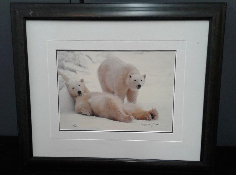 Thomas Mangelsen Polar Bear Limited Edition Photo Print 223/3500 1992