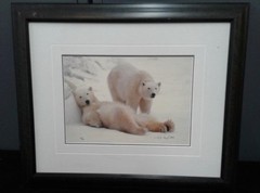 Thomas Mangelsen Polar Bear Limited Edition Photo Print 223/3500 1992