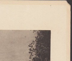 Original 1913 KARL STRUSS » THE OUTLOOK» CAMERA WORK Photogravure Nude