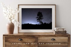 Pine Tree Silhouette and Starry Night Sky in Colorado Photo Print (Unframed)