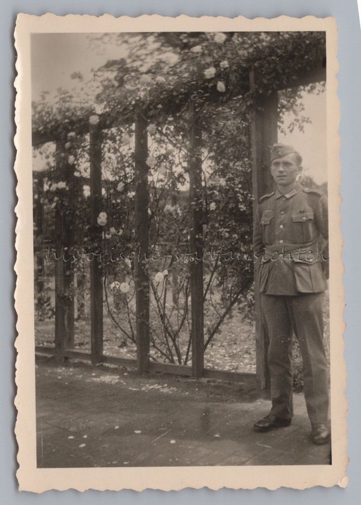 Hamburg July 1943 – Wehrmacht Soldier in Rose Garden – Old Photo 1940s