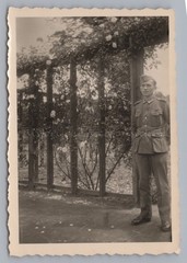 Hamburg July 1943 – Wehrmacht Soldier in Rose Garden – Old Photo 1940s