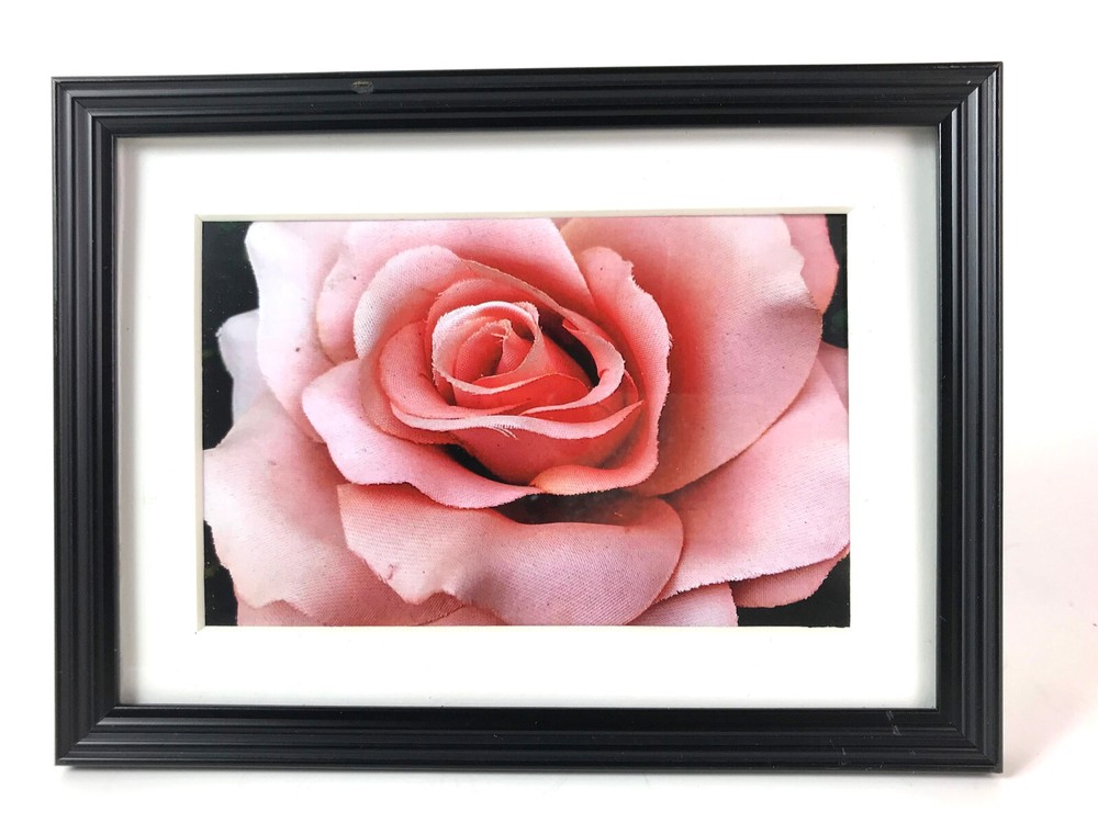 PINK ROSE, 4×6 » MATTED AND FRAMED PRINT, READY TO HANG, GREAT FOR GIFTGIVING