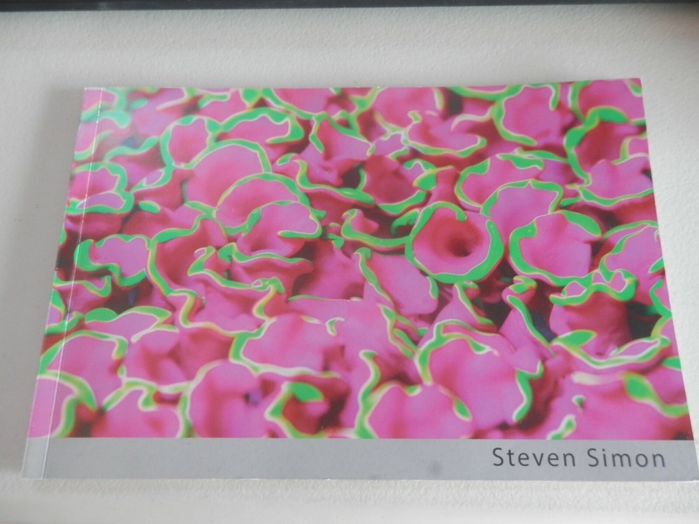 Profusely by Steven Simon – AUTOGRAPHED Copy ART Book