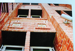 Artistic Brick Building Metal Print Professional Photograph/Palm Trees 16″ x 20″