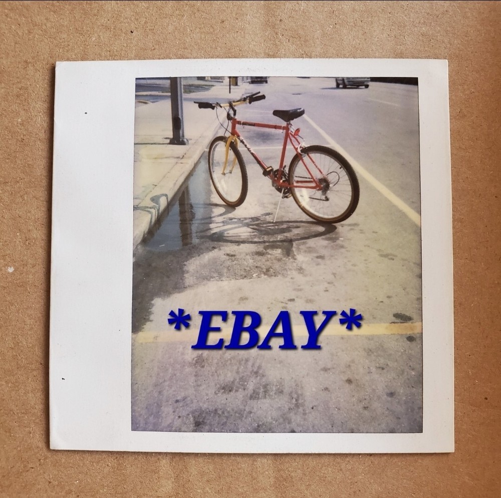 Andy Warhol Polaroid Bicycle